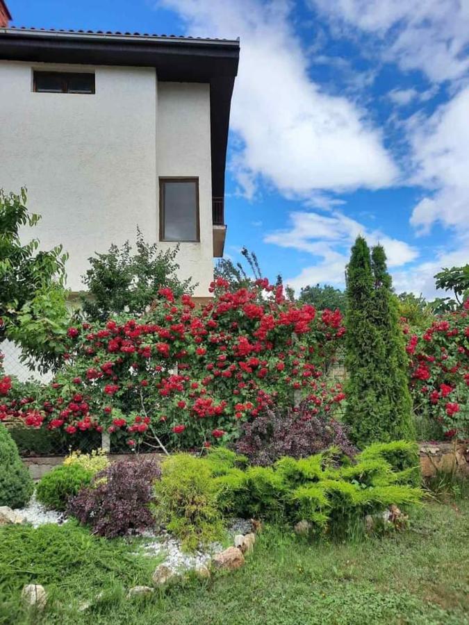 Villa Silva Ohrid Exterior photo