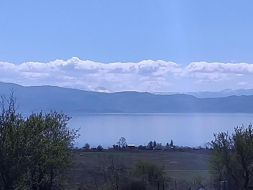 Villa Silva Ohrid Exterior photo